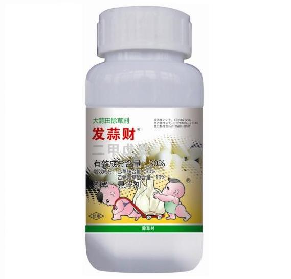 發(fā)蒜財(cái).jpg