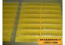 聚氨酯條縫篩網(wǎng)