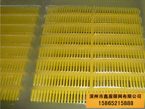 聚氨酯篩網(wǎng)|聚氨酯篩板|橡膠篩網(wǎng)|聚氨酯脫水篩網(wǎng)