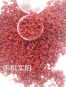 QQ截圖20160518111543