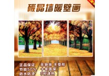 碳晶電熱板