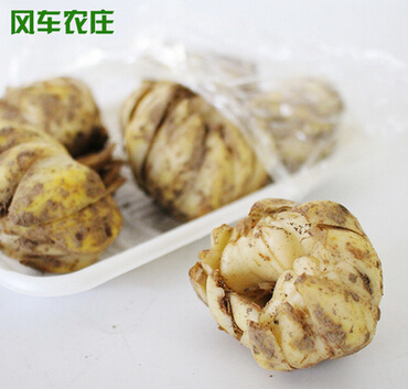 優(yōu)質(zhì)鮮百合