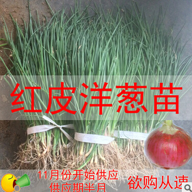 QQ截圖20160525120310