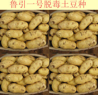 QQ截圖20160525140154