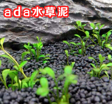 QQ截圖20160526144526