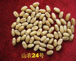 QQ截圖20160922161942