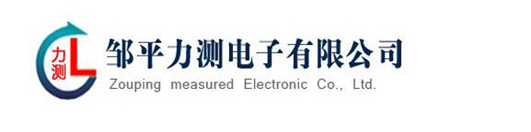 鄒平力測(cè)電子有限公司